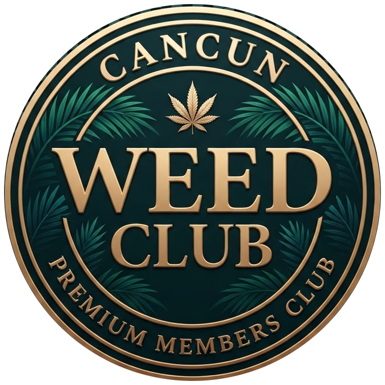 Cancun Weed Club