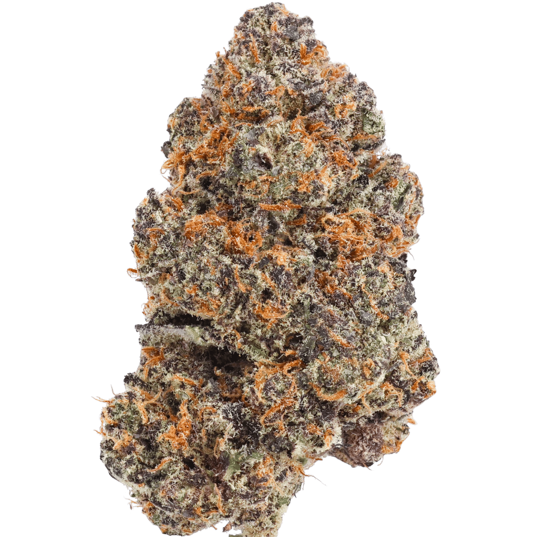 ChocoLime Blackberry